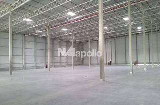 Gewerbeimmobilie mieten in 68753 Waghäusel, ca. 15.000 m² hochwertige Hallenflächen | Rampen- + ebenerdige Tore | WGK-Folie vorhanden