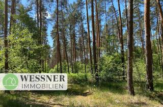 Grundstück zu kaufen in 14624 Dallgow-Döberitz, Waldflächen in Dallgow-Döberitz – nahe der Berliner Stadtgrenze