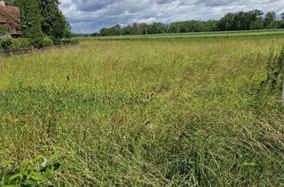 Grundstück zu kaufen in 89171 Illerkirchberg, Grundstück am Ortsrand Unterkirchberg