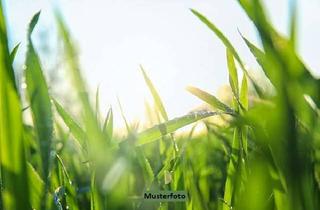 Grundstück zu kaufen in Lausbühl, 79359 Riegel, Landwirtschaftsfläche - provisionsfrei
