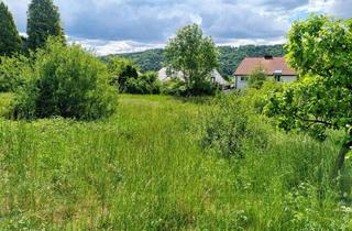 Grundstück zu kaufen in 85072 Eichstätt, Großzügiges Wohngrundstück in Traumlage von Eichstätt