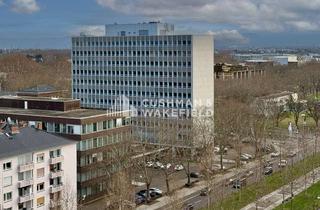 Büro zu mieten in 68161 Schwetzingerstadt, Augusta Tor - Bürofläche mit Blick über Mannheim