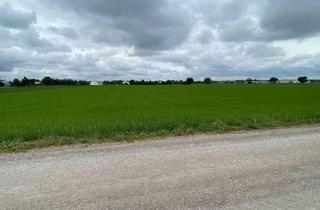 Immobilie kaufen in 85737 Ismaning, Ackerfläche in Ismaning