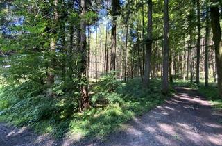 Gewerbeimmobilie kaufen in 83547 Babensham, Gut erreichbare Waldfläche mit gemischten, gepflegten Bestand