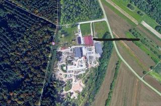 Gewerbeimmobilie kaufen in Gewanne Mittelrhein, 76767 Hagenbach, Hagenbach: Gewerbehalle mit ca. 5100m² Grundstück - Wohnnutzung für Betriebsinhaber möglich