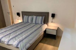 Wohnung mieten in Poststraße 47, 63607 Wächtersbach, Stilvolle, modernisierte 1,5-Zimmer-Wohnung mit Einbauküche in Wächtersbach