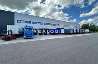 Gewerbeimmobilie mieten in 04827 Machern, Landkreis Leipzig | ca. 10.000 m² Logistikhalle mit Rampen | teilbar ab ca. 1.000 m²