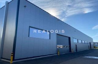 Gewerbeimmobilie mieten in 04827 Machern, Landkreis Leipzig | ca. 5.000 m² Neubau | teilbar ab ca. 1.000 m² Lagerfläche