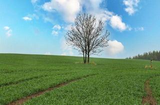 Grundstück zu kaufen in 01778 Geising, *Hofstelle mit 12,29ha Fläche in Geising*Landwirtschaft* Kapitalanlage/Eigennutzung *provisionsfrei*