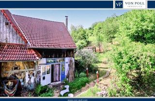 Haus kaufen in 91330 Eggolsheim, Natur - Reich auf 30.000m²