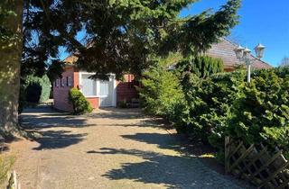 Einfamilienhaus kaufen in Hasenbeckallee 64, 21789 Wingst, Wingst - Top Lage in der Wingst! Vielseitiges Wohnhaus mit 1.692 m² Grundstück