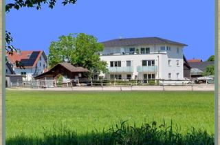 Penthouse kaufen in 89257 Illertissen, Illertissen - ?Exklusives 2-Zi.-Penthouse mit XXL-Sonnenterrasse & Weitblick ??