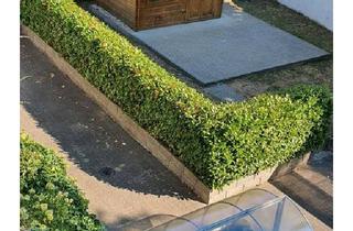 Wohnung kaufen in 45772 Marl, Marl - Wohnung Marl Hüls EBK Stellplatz Garten