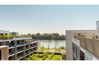 Penthouse mieten in Alte Ziegelei 26, 67346 Speyer, Licht. Luft. Lifestyle - Exklusives 2-Zimmer-Penthouse mit Rheinblick