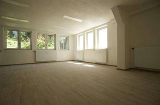 Wohnung mieten in 79379 Müllheim, Gewerbe oder Wohnen: Souterrain-Einheit in bester Lage von Müllheim