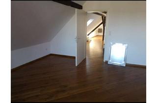 Wohnung mieten in Mannheimer Straße 54, 67166 Otterstadt, Freundliche, vollständig renovierte 2-Zimmer-Wohnung mit gehobener Innenausstattung in Otterstadt