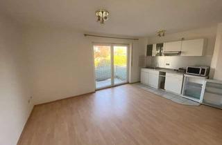 Wohnung mieten in Hubäckering 14, 68766 Hockenheim, Schöne helle 30 qm 1-Zimmerwohnung mit Einbauküche und Balkon ab 01.09.2025 zu vermieten!!