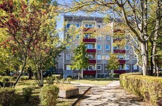 Wohnung mieten in Walther-Ausländer-Straße, 14772 Hohenstücken, Altersfreundlich mit Aufzug: 1 Raumwohnung mit Dusche und Balkon im Erdgeschoss