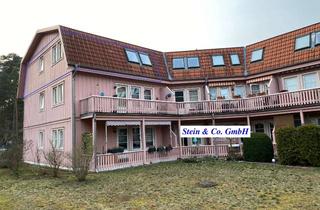 Wohnung mieten in Kiefernstraße 17a, 14822 Borkwalde, für sofort- Wunderschöne Wohnung in ruhiger Wohnlage mit neuem Bodenbelag