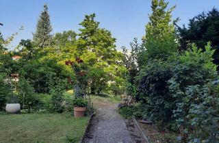 Wohnung mieten in Brühl 45, 31134 Hildesheim, Frisch sanierte 3 Zimmerwohnung mit Gartennutzung in der Innenstadt!