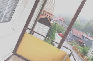 Wohnung mieten in Lichtalstraße 80, 98744 Unterweißbach, 1-Raum Wohnung in schöner Lage