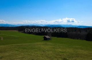 Haus kaufen in 82383 Hohenpeißenberg, Seltene Gelegenheit - Anwesen in Alleinlage für Pferdeliebhaber, Selbstversorger und Aussteiger