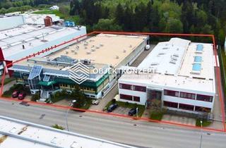 Büro zu mieten in 78713 Schramberg, Firmengebäude in zwei Werke - Produktion, Lager und Büro mit Top-Ausstattung PROVISIONSFREI