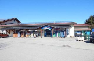 Gewerbeimmobilie mieten in Höllenbach 14 a, 83329 Waging am See, Große Gewerbefläche in 83329 Waging am See - frei ab 01.10.2026