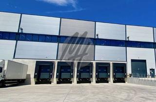 Büro zu mieten in 65479 Raunheim, NÄHE FLUGHAFEN ✓ 24/7 ✓ Lager-/Logistik (10.000 m²) & Büro-/Sozial (1.500 m²) zu vermieten