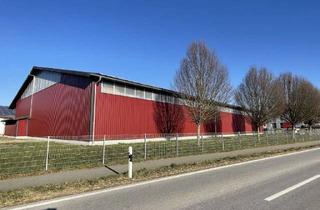 Gewerbeimmobilie mieten in 78247 Hilzingen, Gewerbehalle mit 500m² Lagerfläche zu vermieten