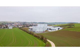 Gewerbeimmobilie mieten in 74930 Ittlingen, Nähe Sinsheim | Halle mit Rampen und Kranbahn 1,6 to | Provisionsfrei