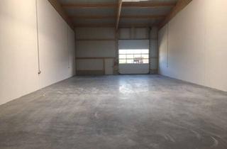 Büro zu mieten in 69469 Weinheim, Moderne Hallen (290 m2 oder 385 m2) mit Büro in Weinheim im neuen Unihallen Gewerbepark zu vermieten