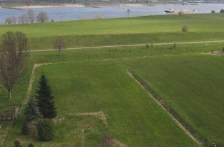 Grundstück zu kaufen in 47533 Kleve, Bauen mit Blick auf den Rhein. Einzigartiges 1000 qm großes Baugrundstück