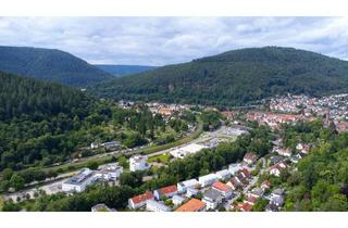 Grundstück zu kaufen in Am Hollmuthhang 25, 69151 Neckargemünd, Weitblick