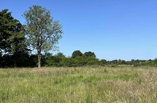 Grundstück zu kaufen in 25497 Prisdorf, SCHMUGGEROW IMMOBILIEN - Baugrund mit Traumblick in Prisdorf
