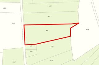 Gewerbeimmobilie kaufen in 97944 Boxberg, Waldgrundstücke bei Boxberg