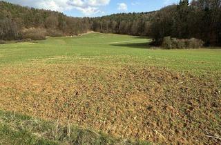Gewerbeimmobilie kaufen in 92275 Hirschbach, Nur für Landwirte - Paketlösung - 3 Landwirtschaftsflächen im Hirschbachtal