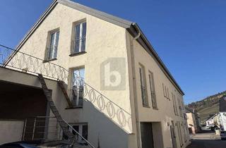 Loft kaufen in 54453 Nittel, LOFTSTYLE, EFFIZIENT, GRENZNAH, MOSELBLICK, KAMIN