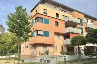 Penthouse kaufen in 67663 Innenstadt, Großzügiges Penthouse mit Panoramaausblick fußläufig zur Stadtmitte