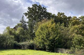 Haus kaufen in 93138 Lappersdorf, 6-Zi.-Holz-EFH mit , Wintergarten, 2 Balkonen u. Blick ins Grüne (eigener Wald) in Lappersdorf