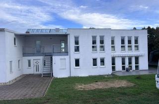 Gewerbeimmobilie kaufen in 67550 Rheindürkheim, Gewerbeimmobilie mit Bistro, Lagerhalle, 3 Wohnungen und Monteurzimmer