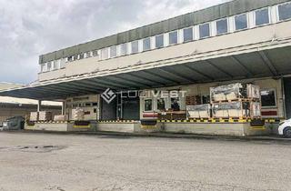 Gewerbeimmobilie mieten in 65203 Biebrich, Lager-und Logistikhalle mit Gleisanschluss in Wiesbaden