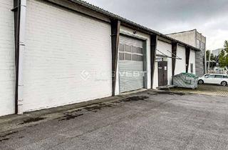 Büro zu mieten in 65795 Hattersheim, Halle mit Büro direkt an der A66!