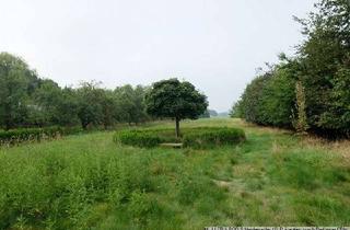 Grundstück zu kaufen in 21423 Winsen, Idyllisches Baugrundstück mit Schwimmteich und Fernsicht!