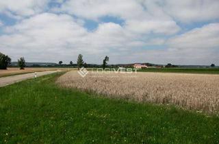 Gewerbeimmobilie kaufen in 03050 Sachsendorf, Gewerbegrundstück nahe A15