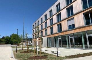 Gewerbeimmobilie mieten in 95119 Naila, Topmodernes Arbeitsumfeld in repräsentativen Räumlichkeiten im Frankenwald/Naila – Büroräume ab ca. 36 m²