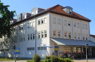 Wohnung mieten in Rudolf-Harbig-Straße, 01968 Senftenberg, Große und helle 2-Zimmer-Wohnung mit neuem Laminatboden Dielenoptik und Bad mit Dusche
