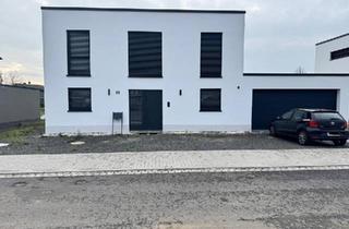 Einfamilienhaus kaufen in 34560 Fritzlar, Fritzlar - Einfamilienhaus Neubau freistehend in Fritzlar
