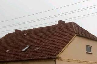 Doppelhaushälfte kaufen in 18258 Schwaan, Schwaan - Doppelhaushälfte mit viel Platz im Garten