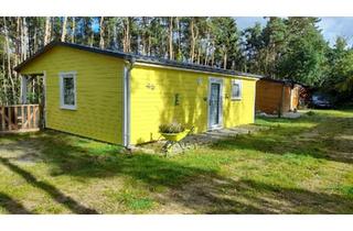 Haus kaufen in 29389 Bad Bodenteich, Bad Bodenteich - Schönes, modernes Ferienhaus in Hitzacker OT